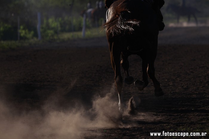 Calendario de Actividades de Fotoescape