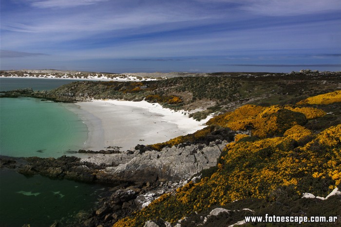 ISLAS MALVINAS