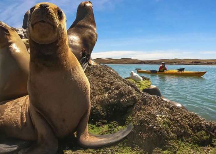 TRAS LAS HUELLAS DE DARWIN EN PUERTO DESEADO